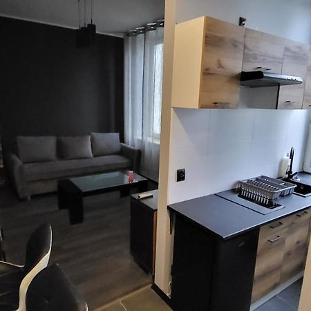 Apartament Pod Wieza Piotrków Trybunalski Exterior foto